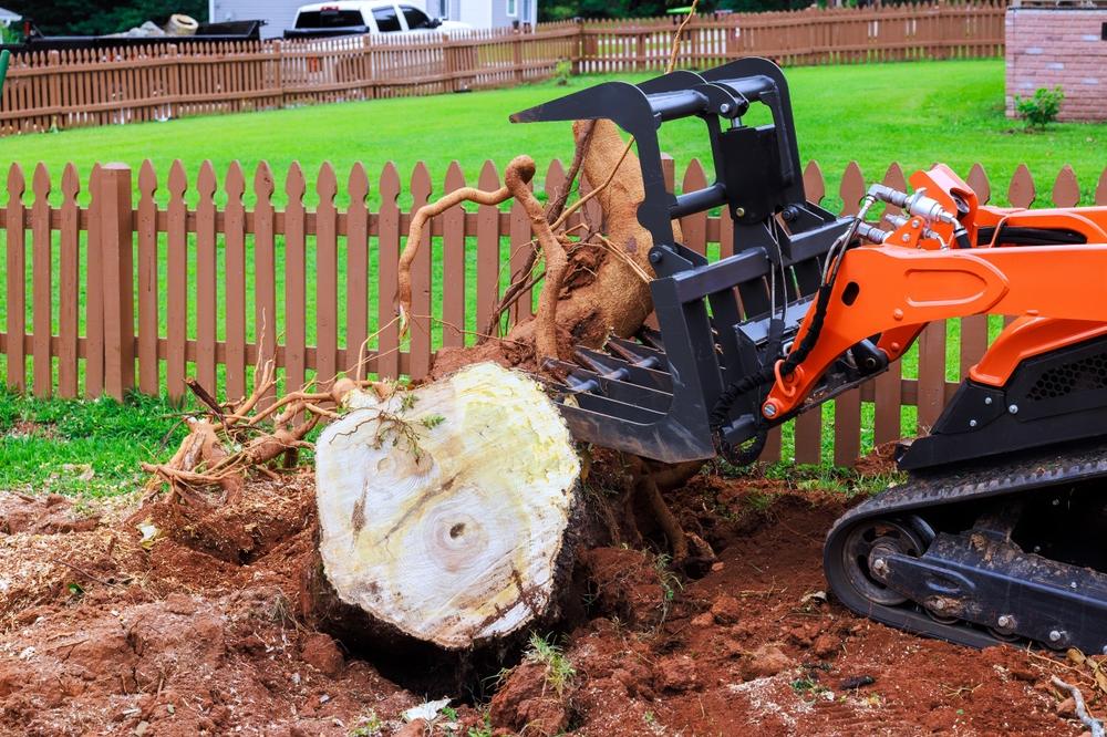 Stump Grinding Service in Poway, CA
